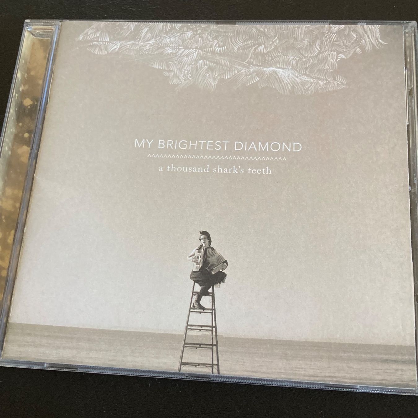 CD: My Brightest Diamond - A Thousand Shark's Teeth – Usato da Bern venduto da Ntsamina