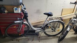 Damen Fahrrad 