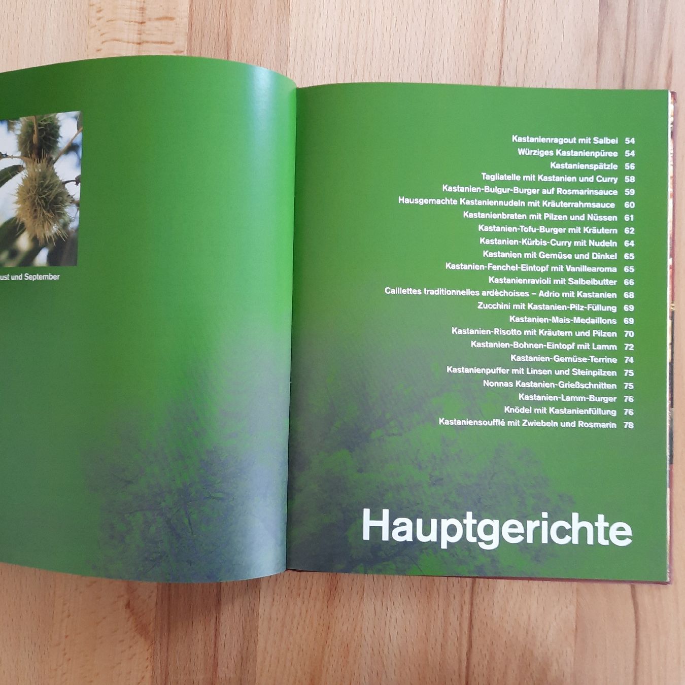 Kochbuch Kastanien von Erica Bänziger neuwertig (Neu (gemäss ...