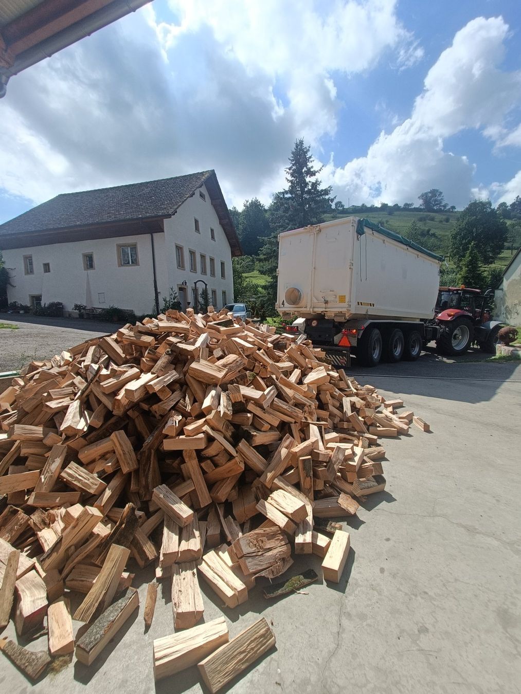 Articoli in legno: Buchen Brennholz 33cm 1Stér – Nuovo (secondo la descrizione) da Gipf-Oberfrick venduto da HindenG-O 1