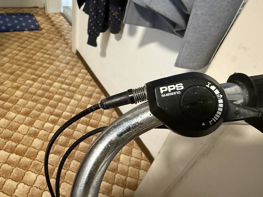 Velos: Coronado Damenvelo  – Gebraucht aus Ligerz von damassine16 2