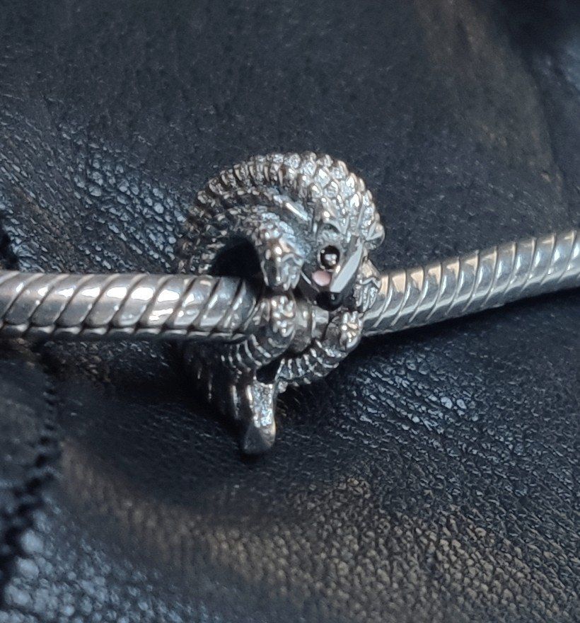 Ciondoli: Charms kompatibel mit Pan-do-ra – Nuovo e nell'imballaggio originale da Lamboing venduto da Qtrica 7