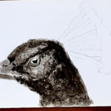 Profile image of fra_922d