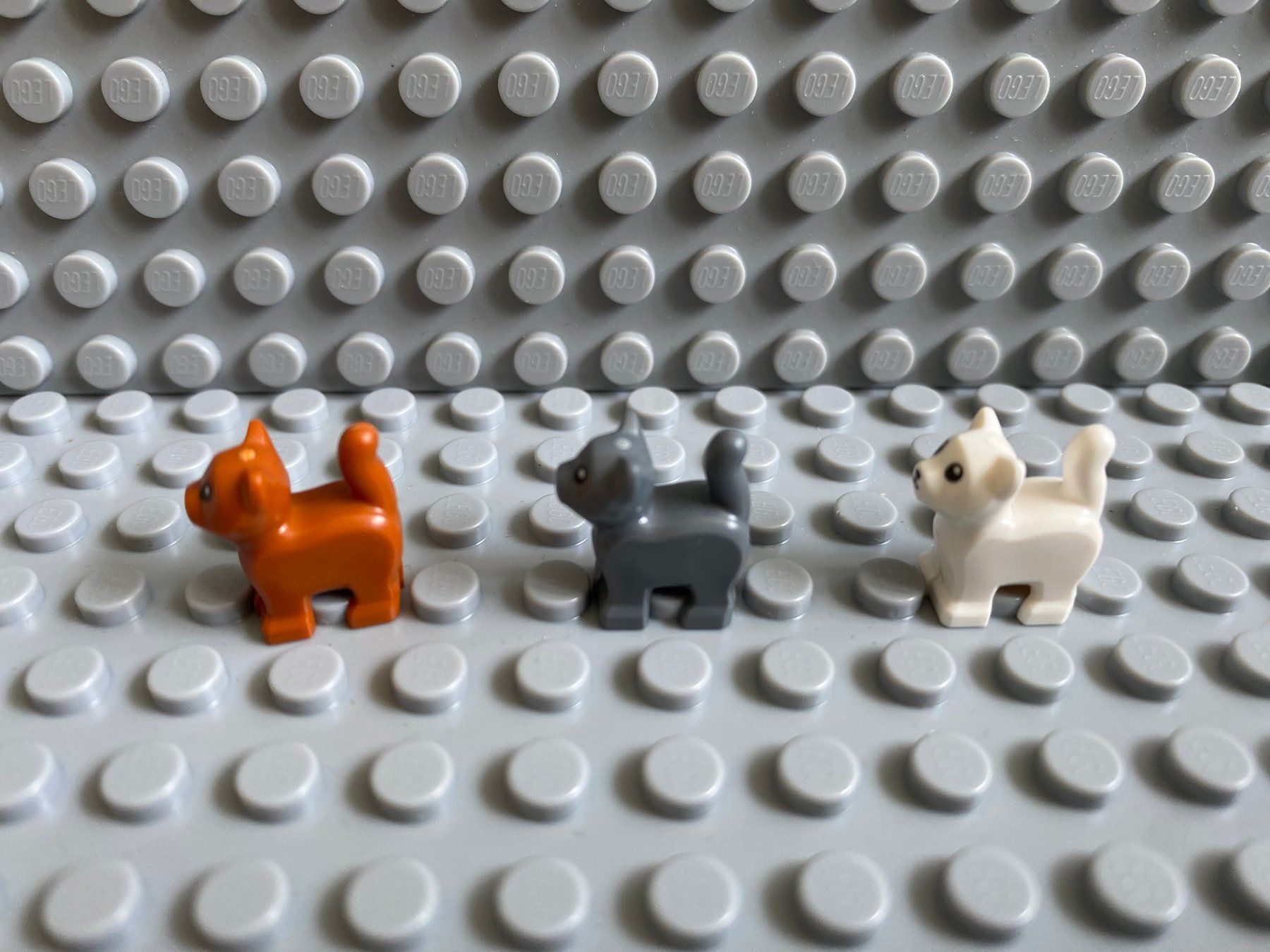 Lego Baukästen: Lego Tiere - 3 Katzen Babys – Neu (gemäss Beschreibung) aus Horw von G39517sG 1