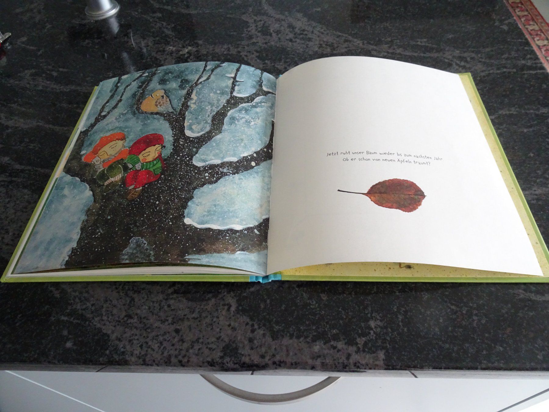 Libri: Bilderbuch Unser Apfelbaum - Neuwertig wunderschöne Bilder – Usato da Zürich venduto da Roulet 9