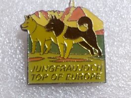 Ansteckpin 289: Jungfraujoch