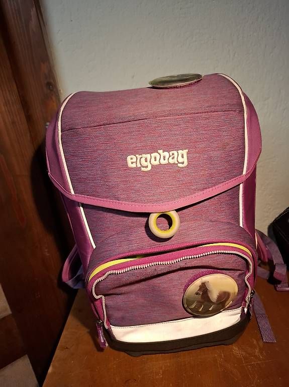 Borse & Zaini: Ergobag Schulthek – Usato da Wettingen venduto da Mixel01 2