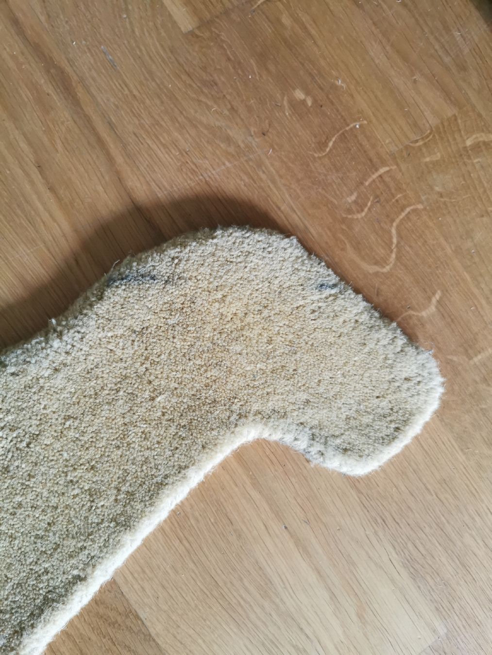 Tapis: Tiger Teppich – D'occasion à Zürich par zhu_b5zn 2