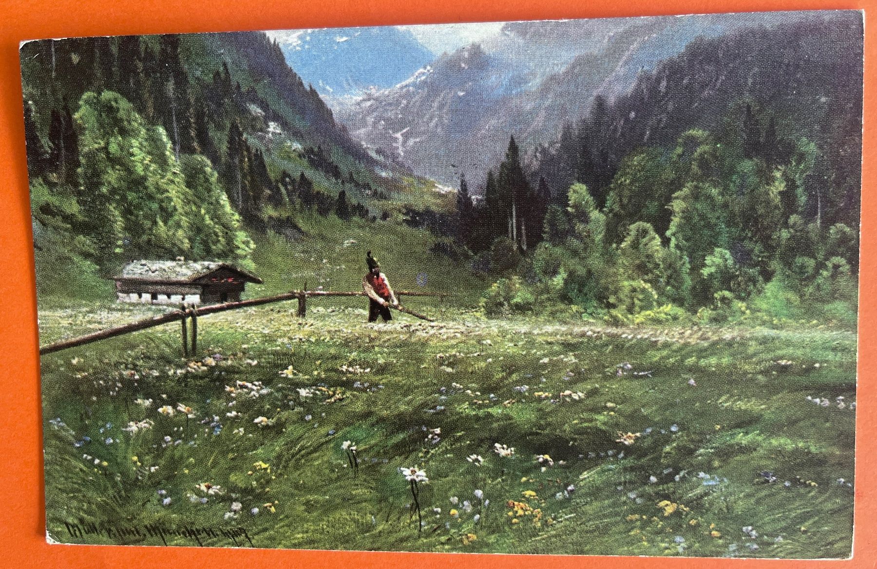 Cartoline postali: AK Mann in Wiese - Blumenfeld – Usato da Biberist venduto da Edelfloh