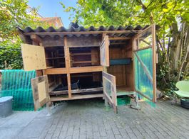 Kleintier Stall abzugeben
