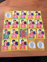 Panini Korea