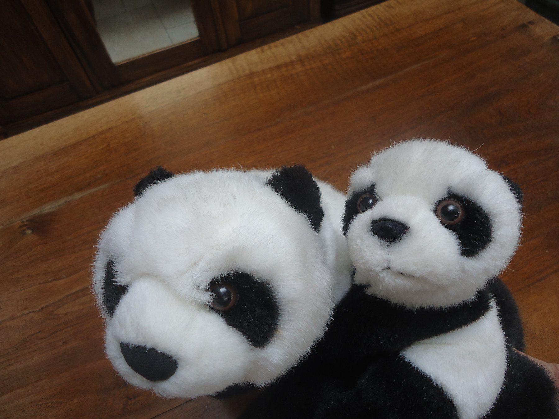 Giocattoli: Maman et bébé panda – Usato da Vessy venduto da mafabe 1