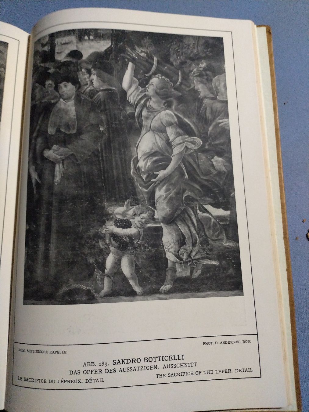 Libri: Früh-Renaissance der ital. Malerei – Usato da Brugg AG venduto da matejR 6