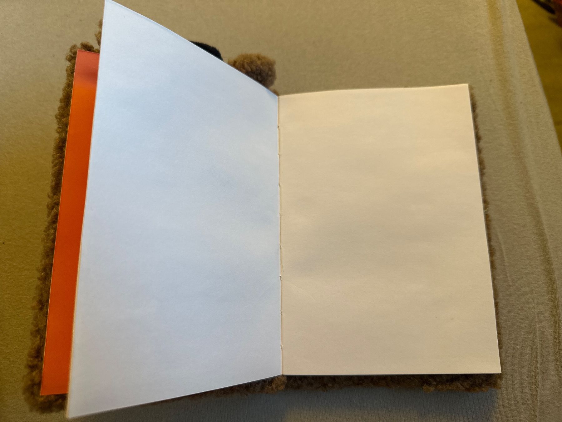 Blocchi: Notizbuch Bär – Nuovo (secondo la descrizione) da Biel-Benken BL venduto da doefi26 2
