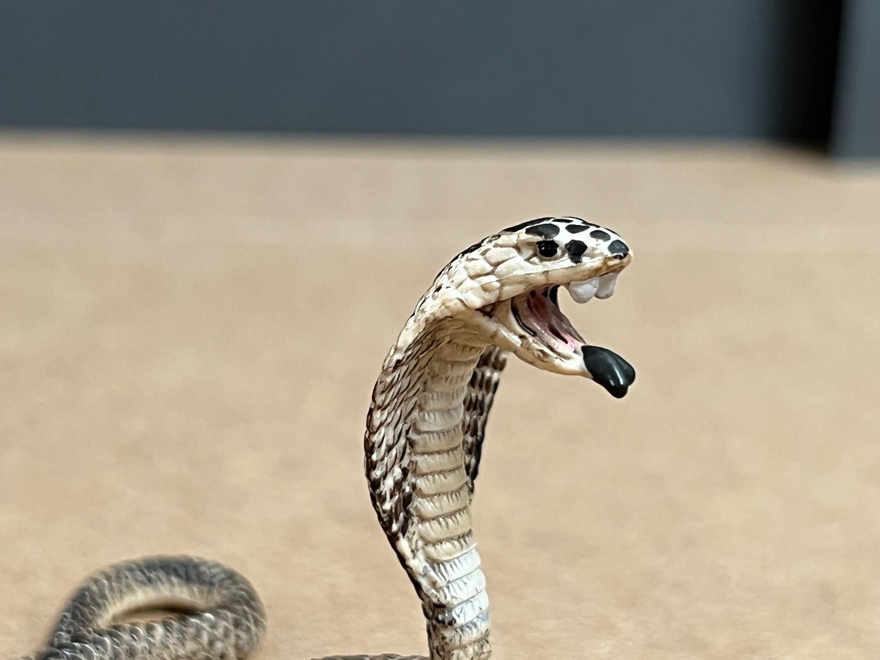 Schleich Figuren: Schleich 14733 Kobra Schlange – Gebraucht aus Ennetbaden von mapa05 3