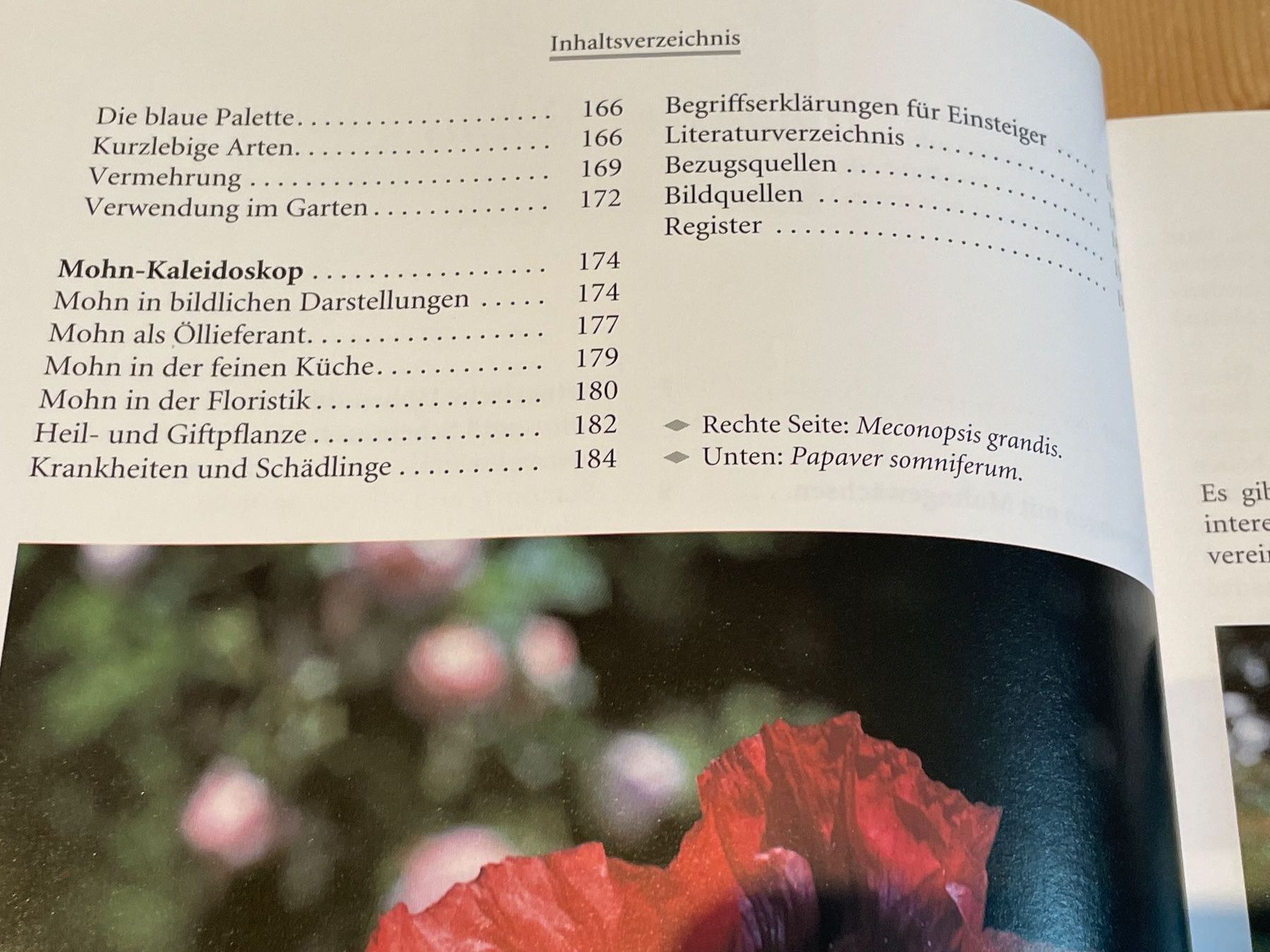 Libri: FRITZ KÖHLEIN - Mohn Und Scheinmohn (2003) – Usato da Frasnacht venduto da GracyStore 3