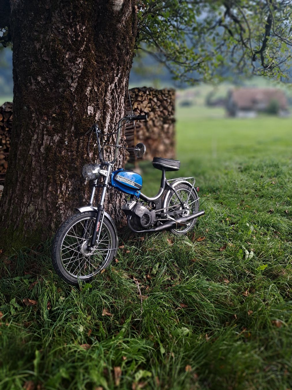 Zündapp Cyclomoteurs: Zündapp Belmondo – D'occasion à Schüpfheim par rap_k7vc 1
