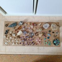Mineralien Sammlung mit verschiedenen Steinen und Kristallen