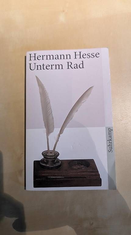 Libri: Unterm Rad von Hermann Hesse – Usato da Riehen venduto da ssa_g27f