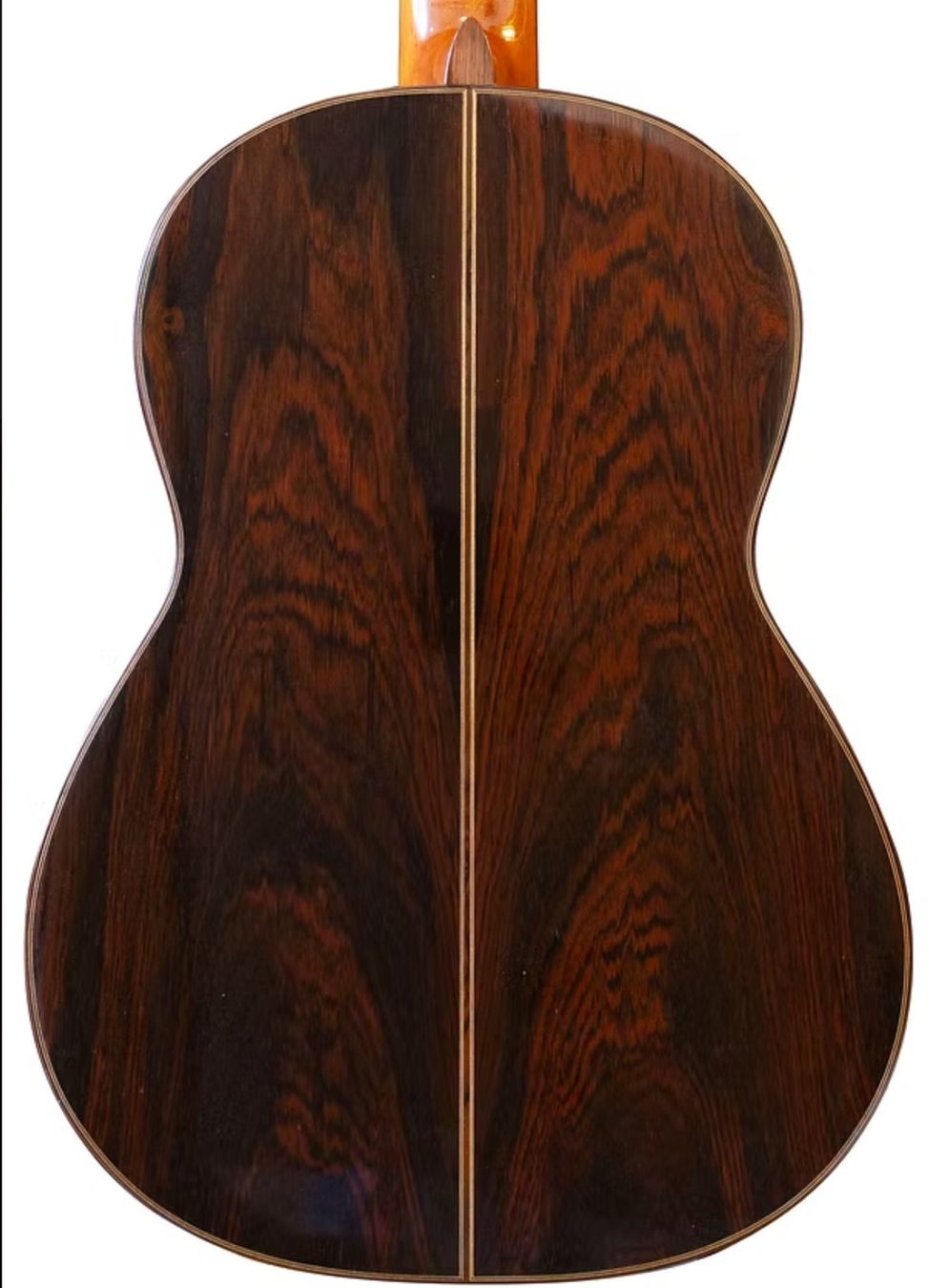 Strumenti musicali: Robert Ruck 1986 – Usato da Renens VD venduto da gio_8pzv 2