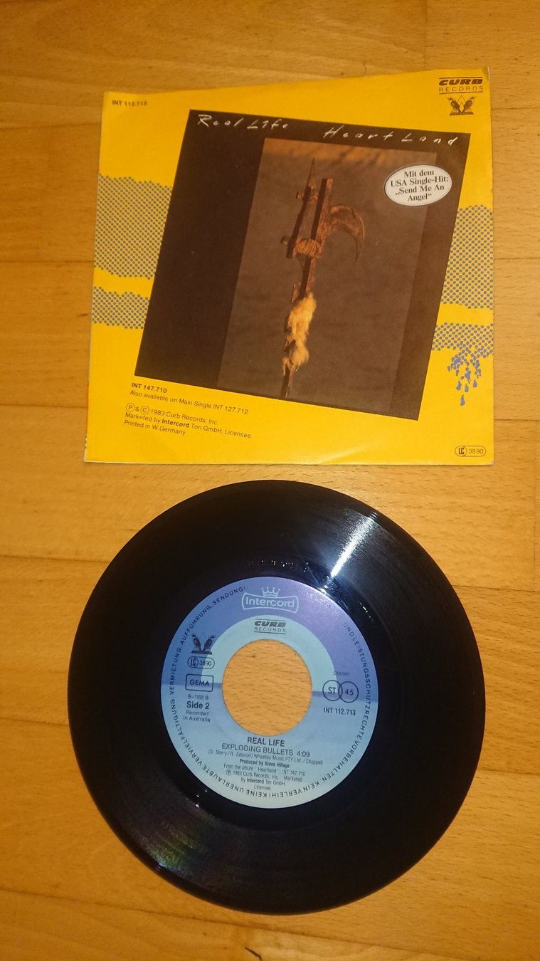 Dischi in vinile: Real Life - Catch me I`m falling - Single 1983 – Usato da Egg b. Zürich venduto da orwell1984 1