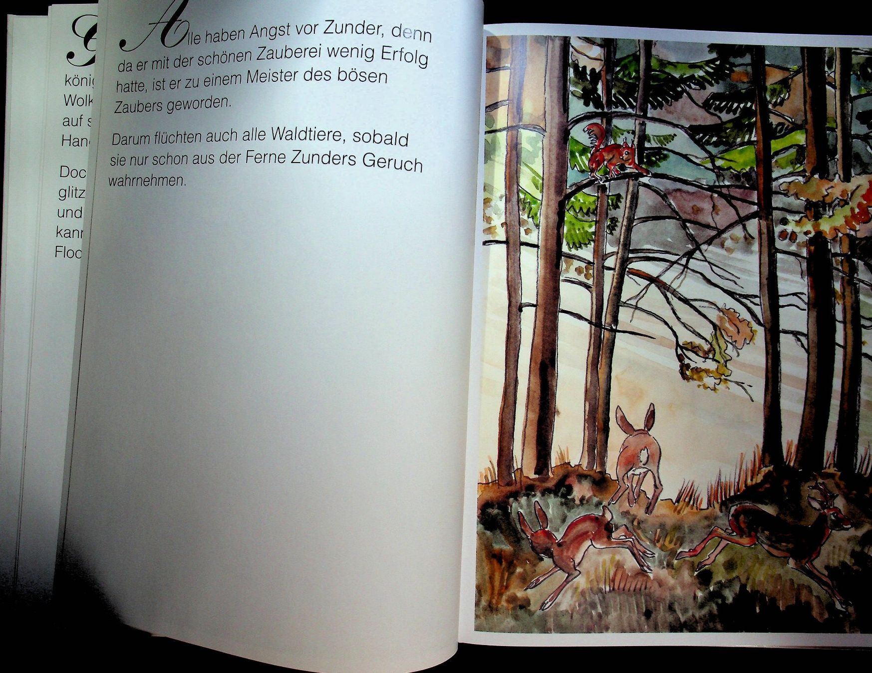 Bücher: Walter Bühler Schneekönig Flock / RAR – Gebraucht aus Reitnau von Zaomir 4