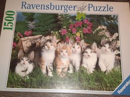 Ravensburger Puzzle Katzenkinder, komplet