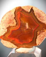Sternachat Geode Dekoration Vitrinenstück