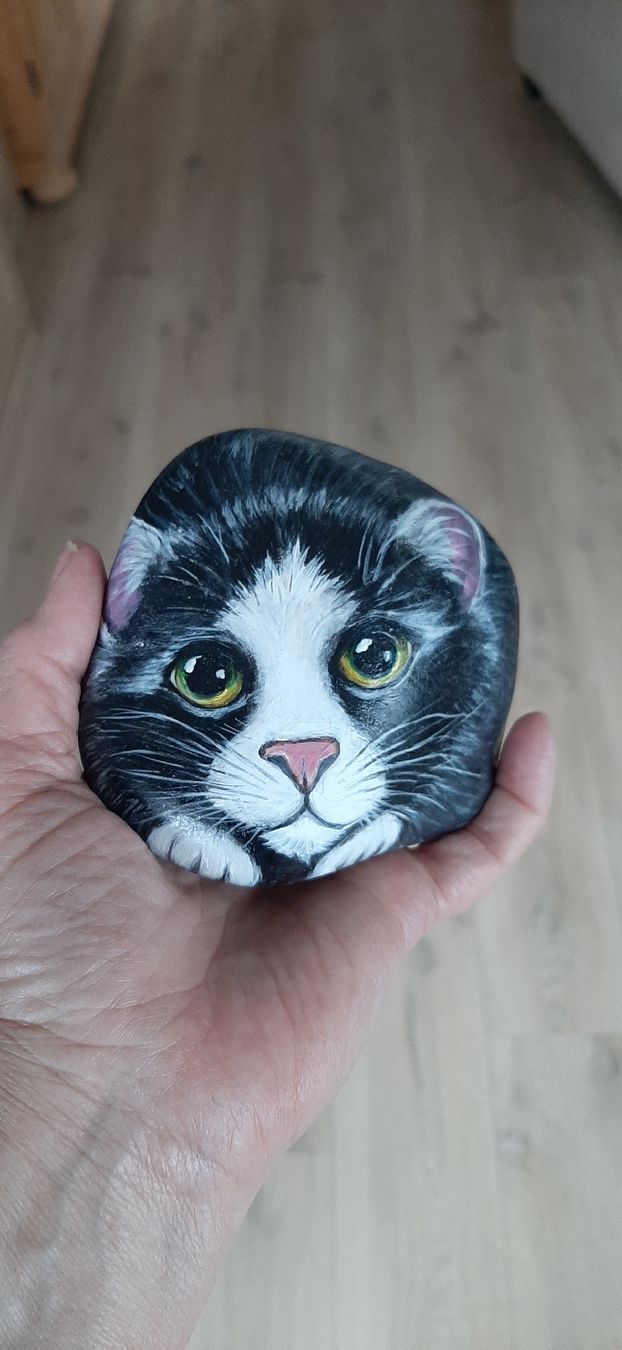 Statuette: Katze gemalt auf Stein – Nuovo (secondo la descrizione) da Affoltern am Albis venduto da Fossil60 2