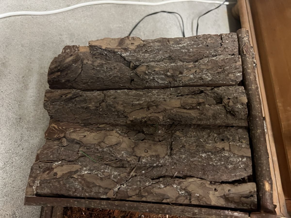 Articoli in legno: Handgefertigte Weihnachtskrippe Holz/Moos,Top Zustand! – Usato da Schaffhausen venduto da cca_99x2 7