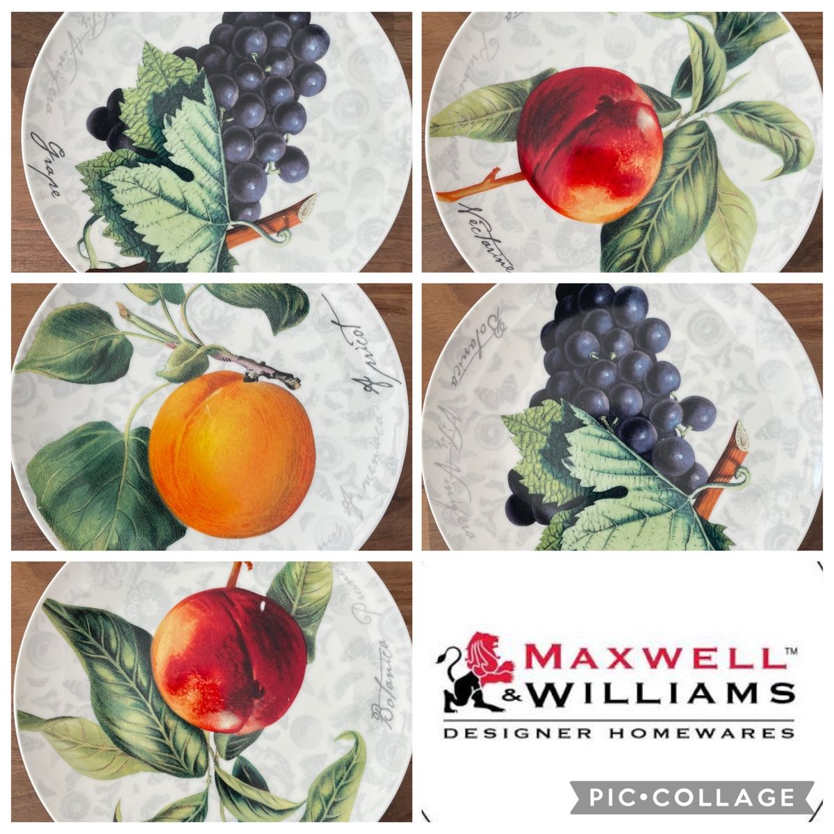 Maxwell & Williams Piatti: Maxwell & Williams Teller Geschirr Dessertteller 5 Stück – Usato da Zürich venduto da MyFashion