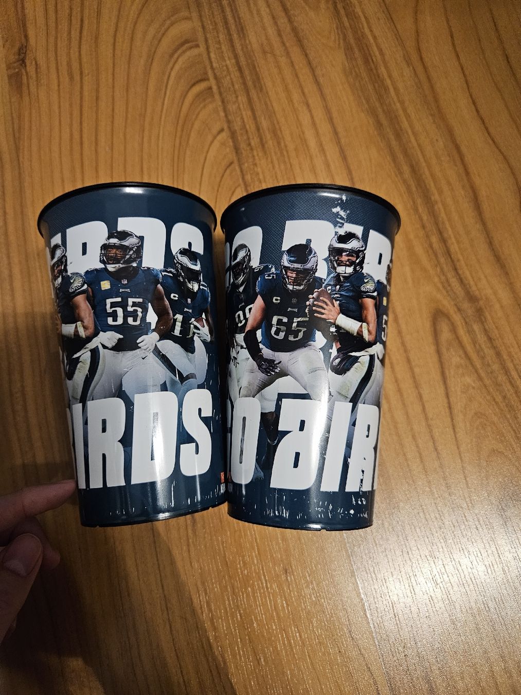 Tutte le decorazioni: Becher Philadelphia Eagles Saison 2024 2 Stück – Usato da Beckenried venduto da NW_90 1