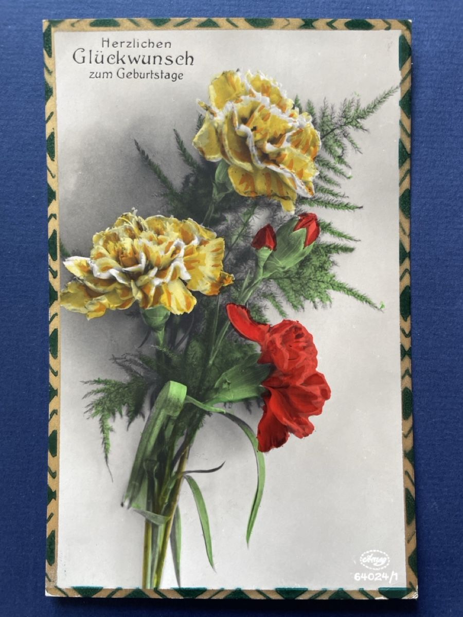 Cartoline postali: Alte Ansichtskarte,Geburtstag, Solothurn,ca 1930, Nelken – Usato da Neuhausen am Rheinfall venduto da Arielle55