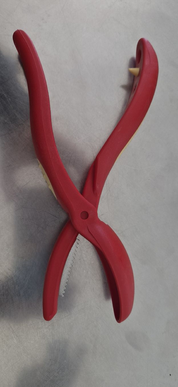 Couteaux de cuisine: COUPE CHATAIGNES SNIPS – Neuf (Voir description) à Vufflens-la-Ville par Veuveclicquot 1