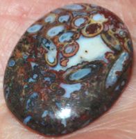 Cabochon L-3417 – Palmwurzel Achat 28x22mm
