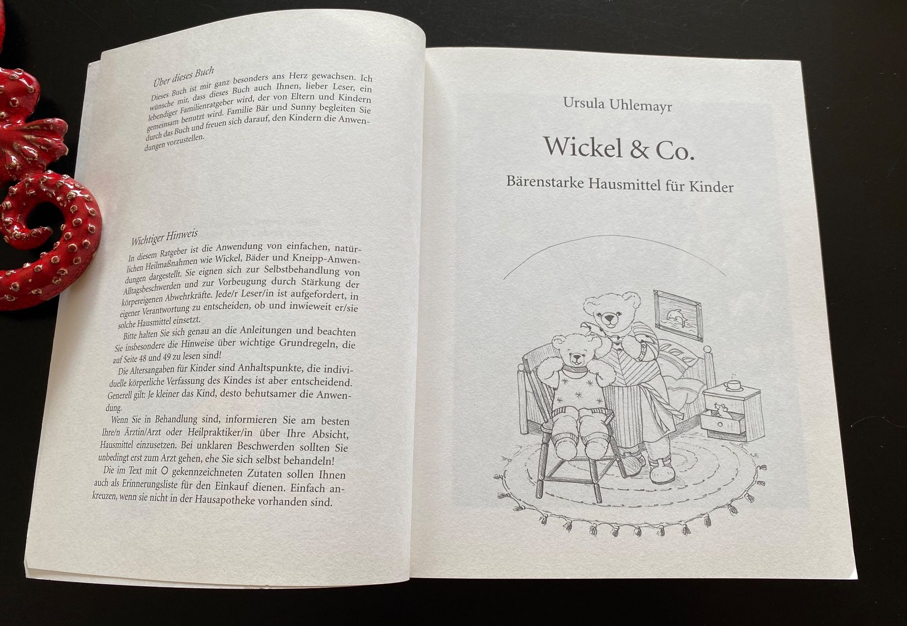 Libri: Wickel & Co für Kinder – Usato da Nussbaumen AG venduto da schuba2000 2