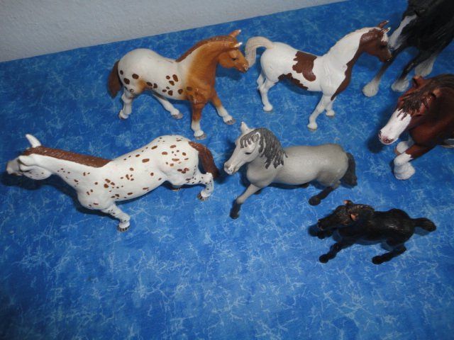 Schleich Spielzeuge: SCHLEICH PFERDE 11X – Neu (gemäss Beschreibung) aus Teufen AR von Donschabl 5