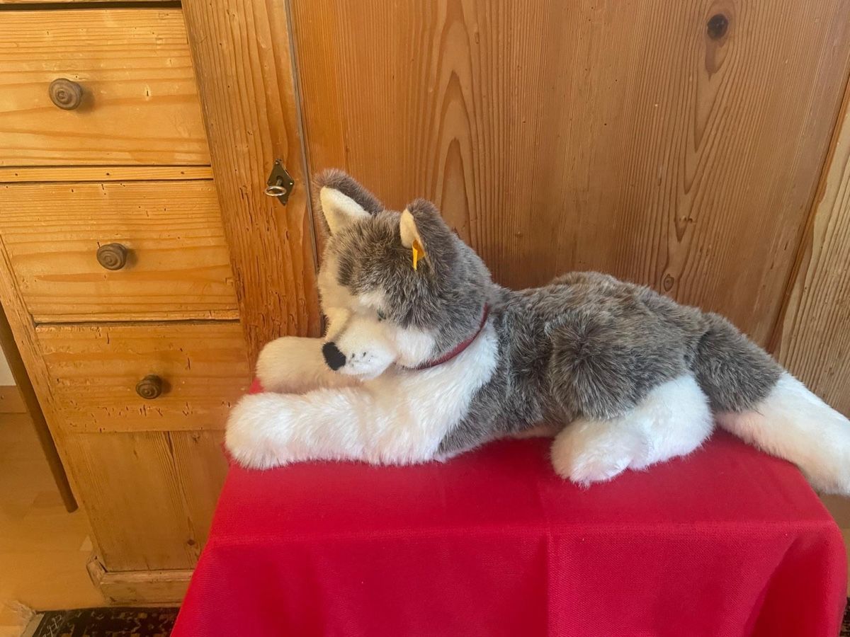 Steiff Spielzeuge: STEIFF Hund Husky – Gebraucht aus Zürich von pie_9tng