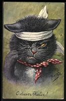 Arthur Thiele: Schwarzer Kater nach eine