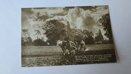 La Paix - Bauer auf dem Feld - Kuh - Pferd - Feldpost