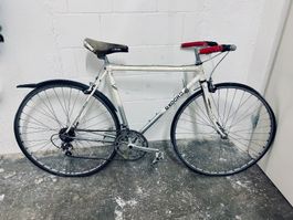 Rennvelo / Lieblingsvelo