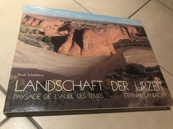 Libri: Landschaft der Urzeit 3 Sprachen D/E/F – Nuovo (secondo la descrizione) da Bergdietikon venduto da book-4-you