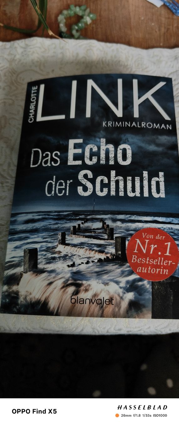 Bücher: Das Echo der Schuld – Gebraucht aus Volken von katz5