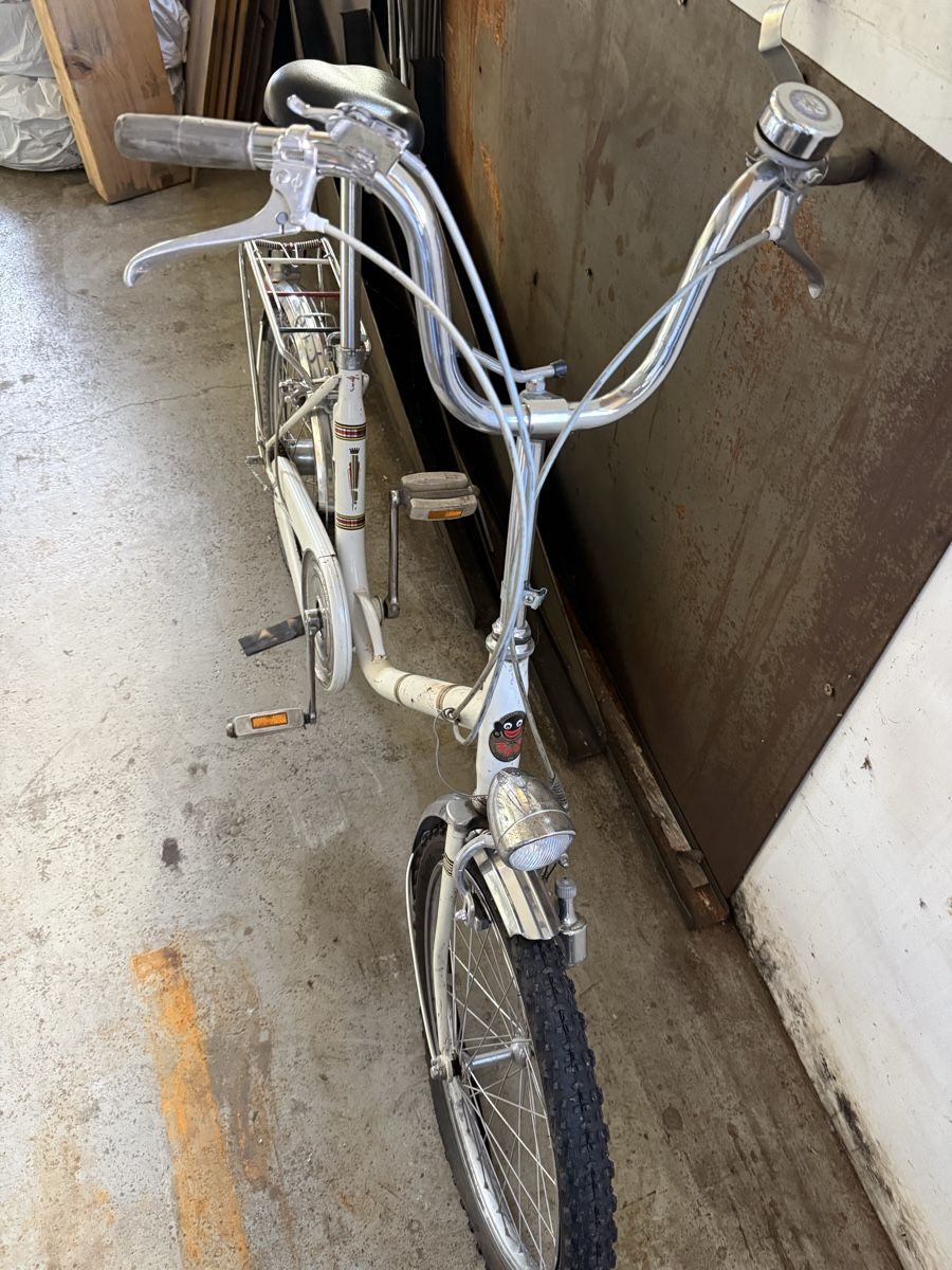 Pony Biciclette: Pony Velo – Usato da Buchs SG venduto da Liana2016 1