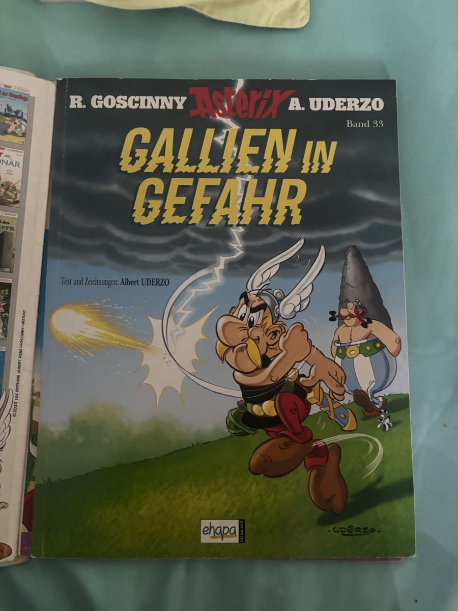 Fumetti: Alte Asterix & Obelix Comics – Usato da Dornach venduto da fam_fy9y 4