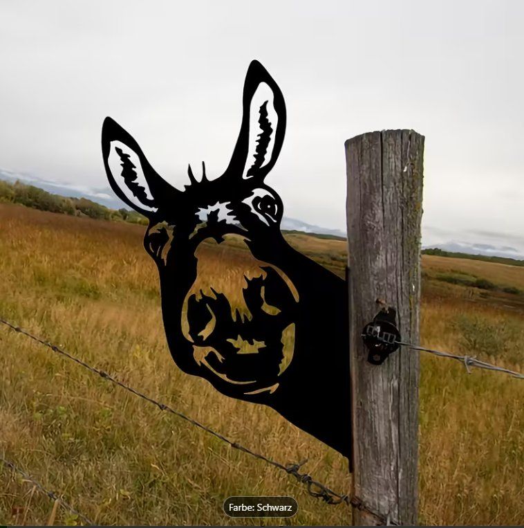 Ecriteaux: Blechschild Esel – D'occasion à Gerlafingen par Tsuru 1