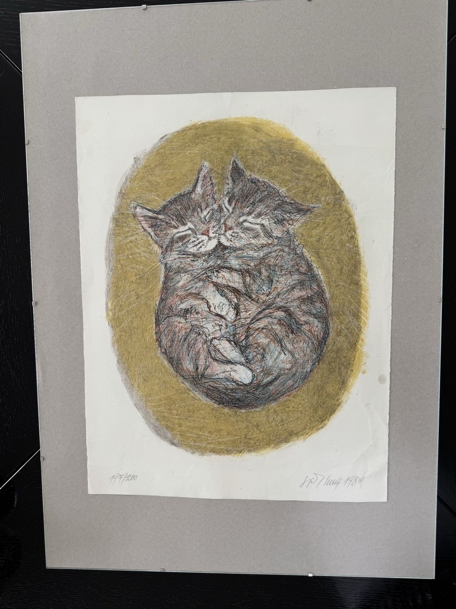 Grafica & Litografie: Fritz Hug Lithographie – Usato da Safenwil venduto da Corahund