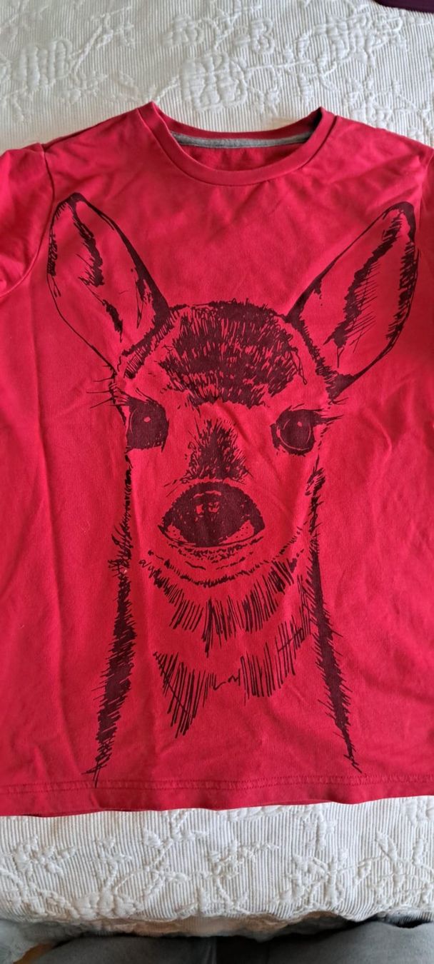 Jako-O Pullover & Sweatshirts: Pullover Jakoo – Gebraucht aus Umiken von Appstro 1