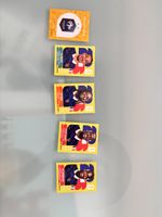 Panini World Cup 2026 France team