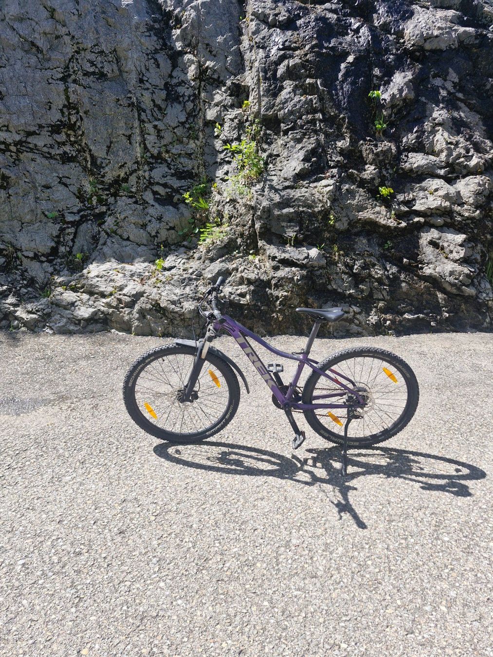 Trek Biciclette: Trek Bike – Usato da Muotathal venduto da DS81